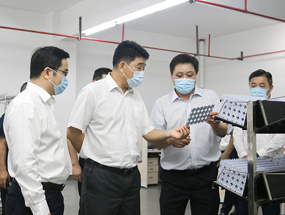 杭州市副市长柯吉欣一行走访调研乐鱼