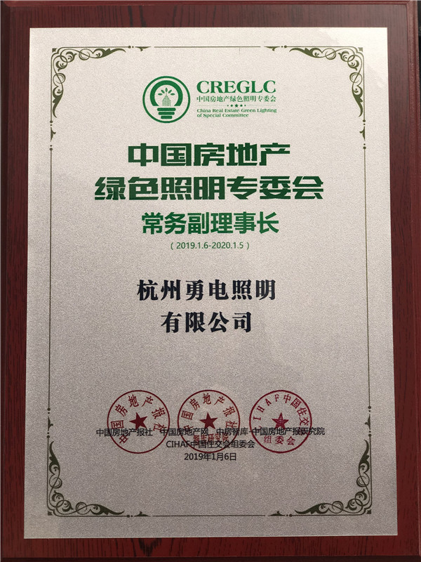 1547271107719749.jpg 2019.1.06 中国房地长绿色照明专委会-常务副理事长(2019.1.06-2020.1.05).jpg